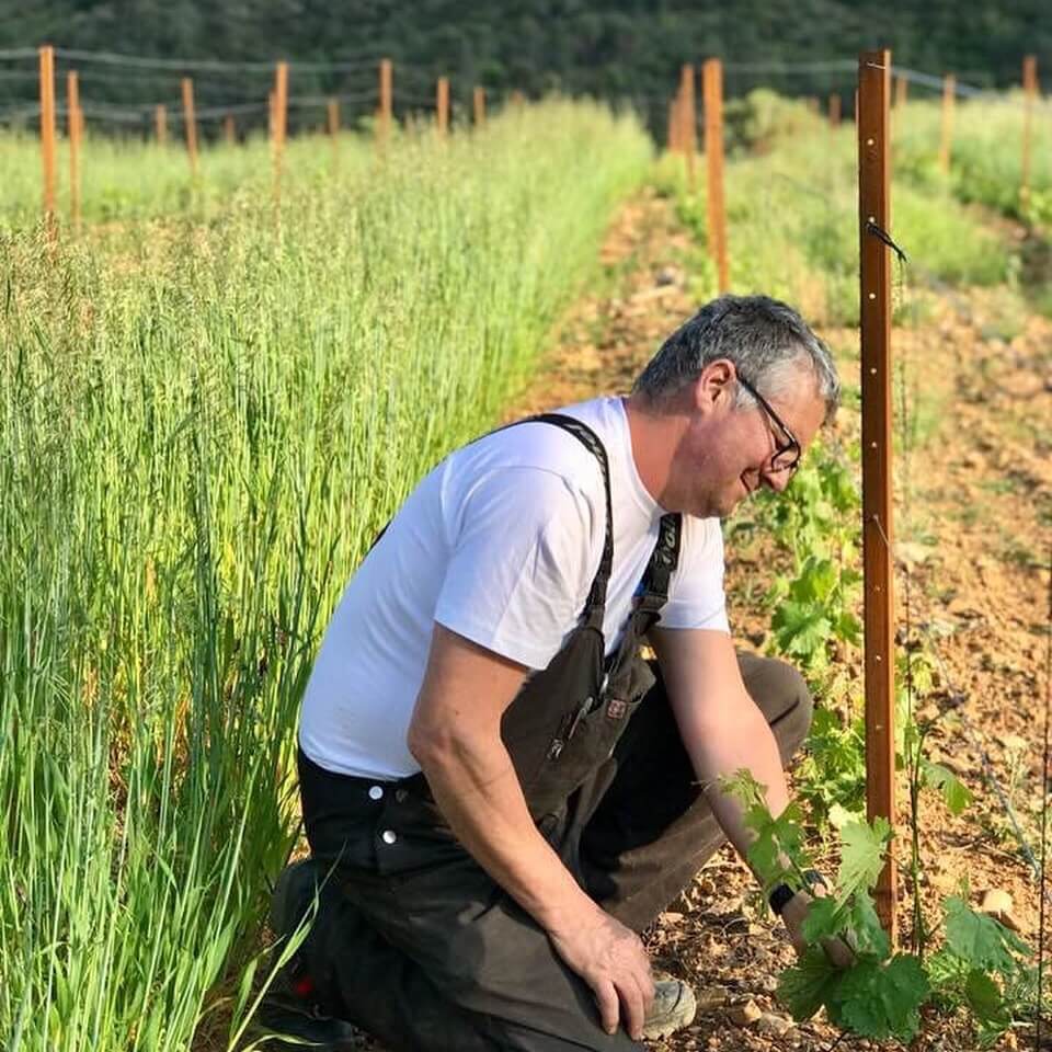 winemaker
